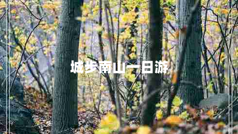 城步南山一日游 城步南山一日游