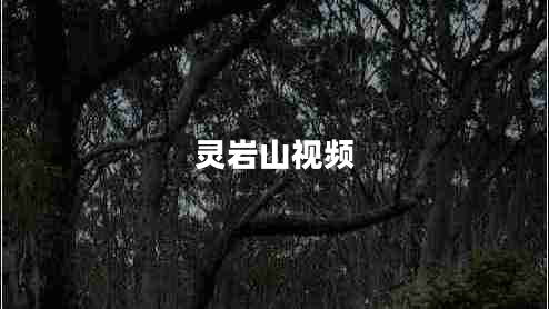 靈巖山視頻 靈巖山視頻