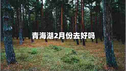 青海湖2月份去好嗎