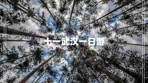 十一武漢一日游