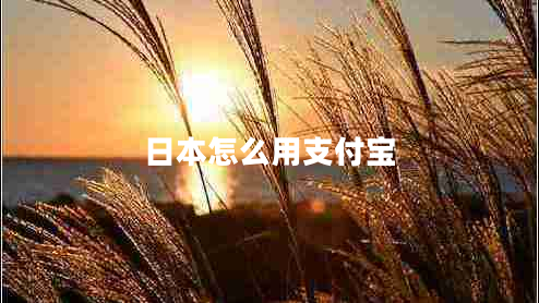日本怎么用支付寶