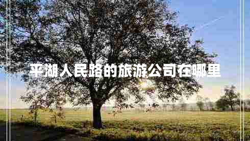 平湖人民路的旅游公司在哪里 平湖人民路的旅游公司在哪里
