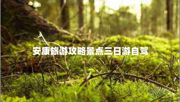 安康旅游攻略景點(diǎn)三日游自駕 安康旅游攻略景點(diǎn)三日游自駕