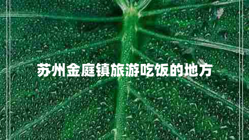 蘇州金庭鎮(zhèn)旅游吃飯的地方 蘇州金庭鎮(zhèn)旅游吃飯的地方