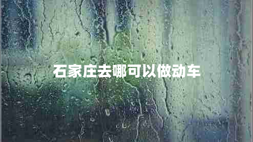 石家莊去哪可以做動車 石家莊去哪可以做動車