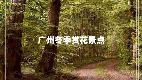 廣州冬季賞花景點(diǎn) 廣州冬季賞花景點(diǎn)
