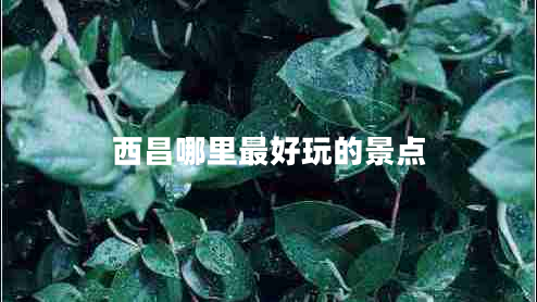 西昌哪里最好玩的景點 西昌哪里最好玩的景點