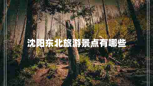 沈陽東北旅游景點有哪些 沈陽東北旅游景點有哪些