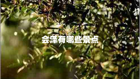 會(huì)澤有哪些景點(diǎn) 會(huì)澤有哪些景點(diǎn)