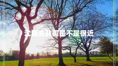 沈陽去韓國是不是很近