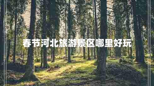 春節(jié)河北旅游景區(qū)哪里好玩 春節(jié)河北旅游景區(qū)哪里好玩