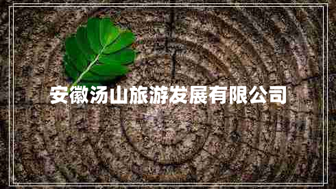 安徽湯山旅游發(fā)展有限公司 安徽湯山旅游發(fā)展有限公司