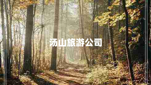 湯山旅游公司 湯山旅游公司