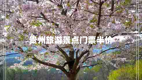 貴州旅游景點(diǎn)門票半價(jià)