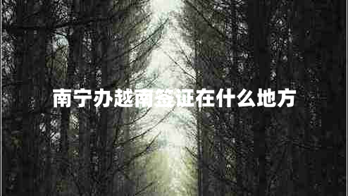 南寧辦越南簽證在什么地方 南寧辦越南簽證在什么地方