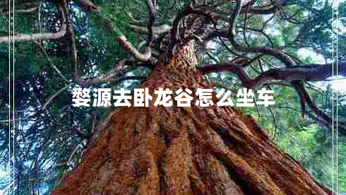 婺源去臥龍谷怎么坐車 婺源去臥龍谷怎么坐車