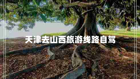 天津去山西旅游線路自駕