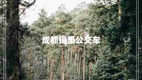 成都錦里公交車
