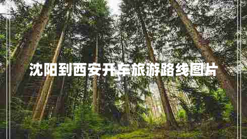 沈陽(yáng)到西安開(kāi)車(chē)旅游路線圖片