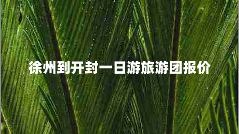 徐州到開封一日游旅游團(tuán)報價