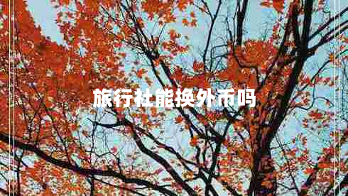 旅行社能換外幣嗎 旅行社能換外幣嗎