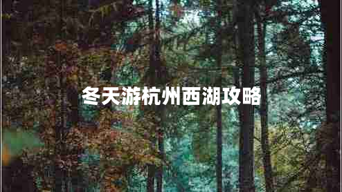 冬天游杭州西湖攻略 冬天游杭州西湖攻略