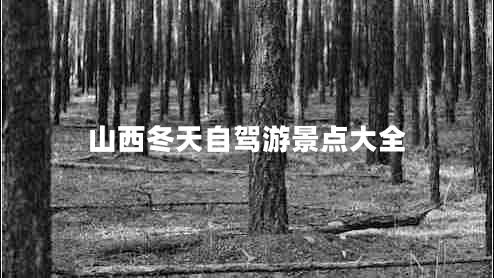 山西冬天自駕游景點(diǎn)大全
