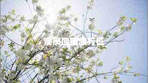 澳洲回國(guó)旅行證 澳洲回國(guó)旅行證