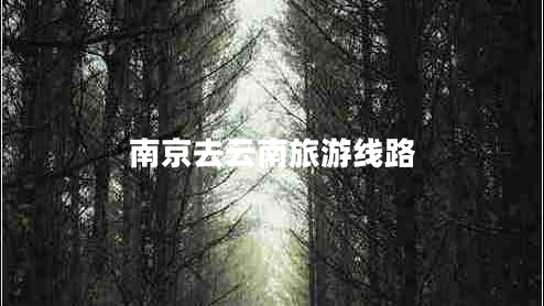 南京去云南旅游線路 南京去云南旅游線路