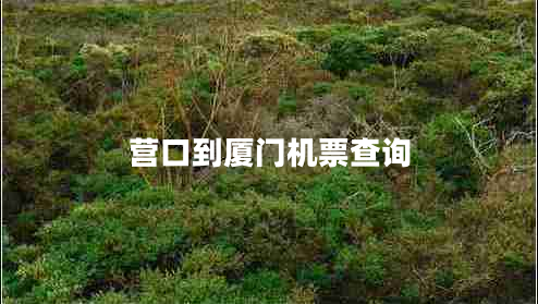 營(yíng)口到廈門機(jī)票查詢 營(yíng)口到廈門機(jī)票查詢