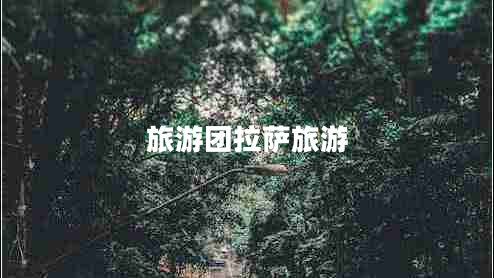 旅游團(tuán)拉薩旅游