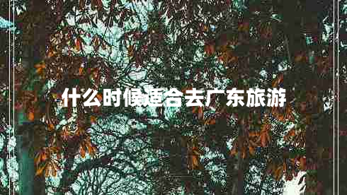 什么時候適合去廣東旅游