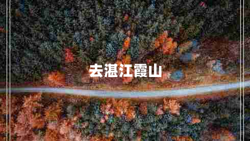 去湛江霞山 去湛江霞山