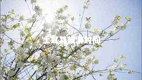 土耳其旅游時間 土耳其旅游時間