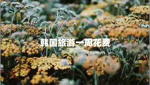 韓國旅游一周花費 韓國旅游一周花費