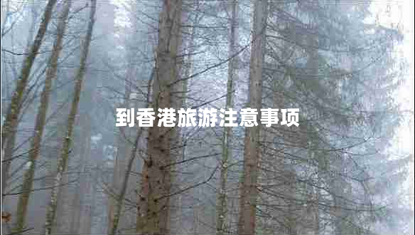 到香港旅游注意事項(xiàng) 到香港旅游注意事項(xiàng)
