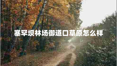 塞罕壩林場御道口草原怎么樣 塞罕壩林場御道口草原怎么樣