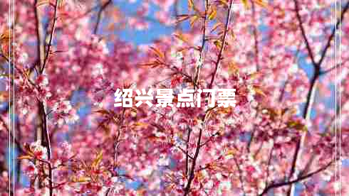 紹興景點(diǎn)門票