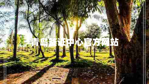 青島簽證中心官方網(wǎng)站