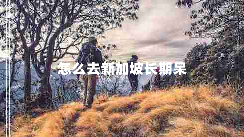 怎么去新加坡長(zhǎng)期呆 怎么去新加坡長(zhǎng)期呆