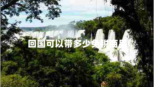 回國可以帶多少免稅商品 回國可以帶多少免稅商品