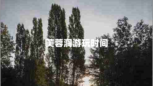 芙蓉洞游玩時間