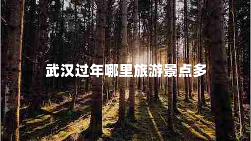 武漢過年哪里旅游景點多 武漢過年哪里旅游景點多