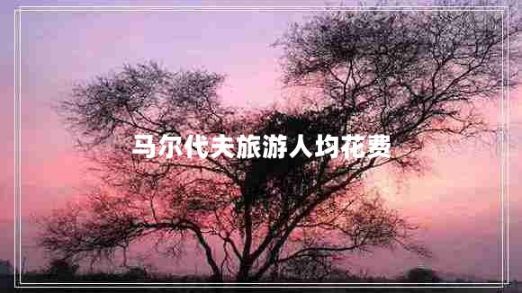 馬爾代夫旅游人均花費 馬爾代夫旅游人均花費