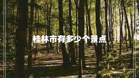 桂林市有多少個景點