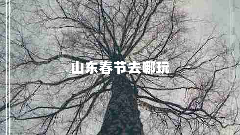山東春節(jié)去哪玩