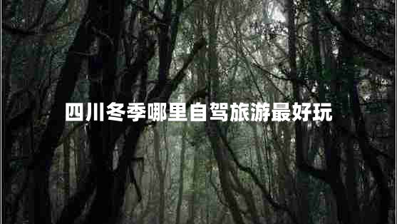 四川冬季哪里自駕旅游最好玩