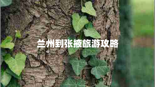 蘭州到張掖旅游攻略 蘭州到張掖旅游攻略