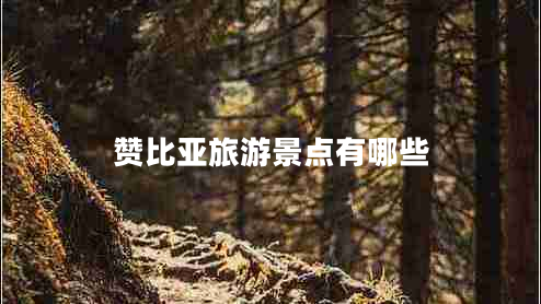 贊比亞旅游景點(diǎn)有哪些 贊比亞旅游景點(diǎn)有哪些