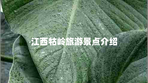 江西牯嶺旅游景點介紹 江西牯嶺旅游景點介紹